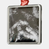 Sneeuw in het zuidelijk deel van Alaska Metalen Ornament (Links)