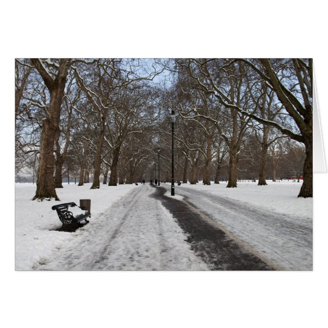 Sneeuw in Hyde Park (Voorkant Horizontaal)