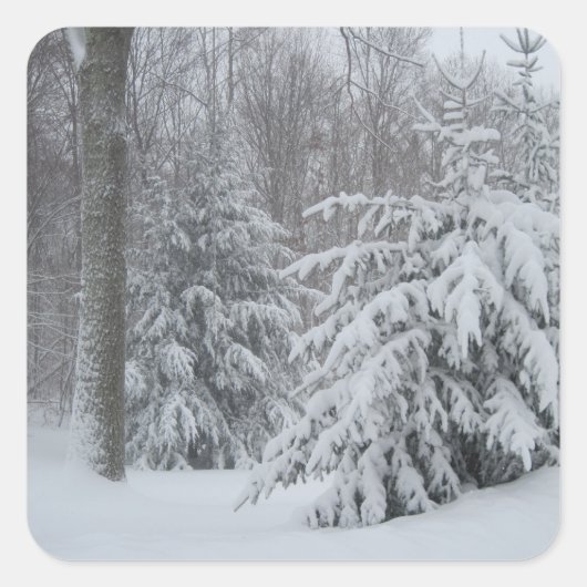 Sneeuw in New England Sticker (Voorkant)