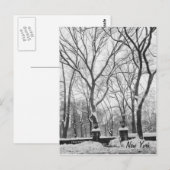 Sneeuw in New York Briefkaart (Voorkant / Achterkant)