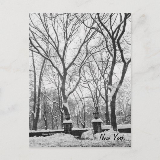 Sneeuw in New York Briefkaart (Voorkant)