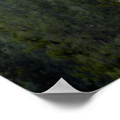 Sneeuw in poedervorm..... poster (Hoek)