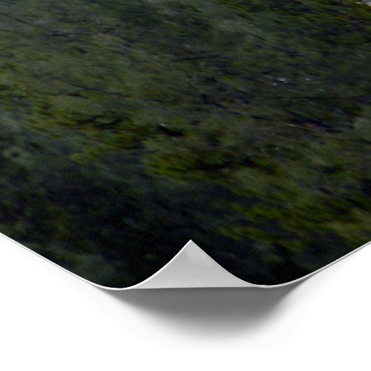 Sneeuw in poedervorm..... poster (Hoek)