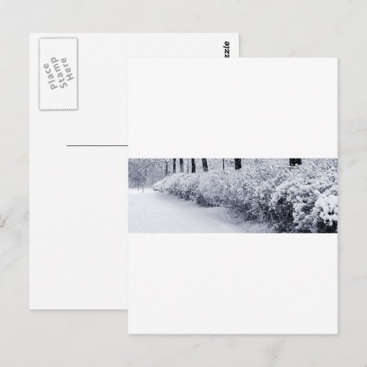 Sneeuw in Zweden Briefkaart (Voorkant / Achterkant)