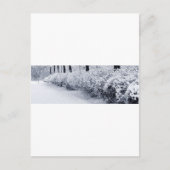 Sneeuw in Zweden Briefkaart (Voorkant)