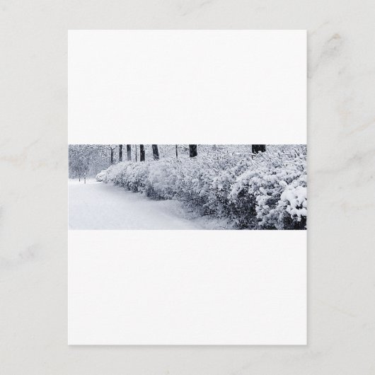 Sneeuw in Zweden Briefkaart (Voorkant)