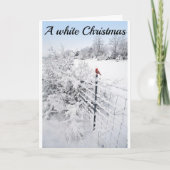 SNEEUW IS ZO MOOI-HOOP UW CHRISTMAS IS TE KAART (Voorkant)