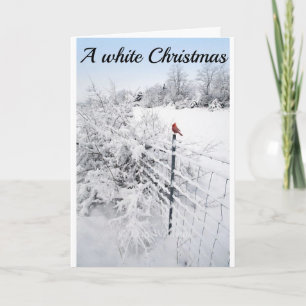 SNEEUW IS ZO MOOI-HOOP UW CHRISTMAS IS TE KAART