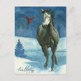 Sneeuw Label Wild Horse Post Card Briefkaart