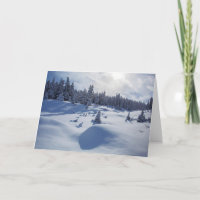 Sneeuw Landschap