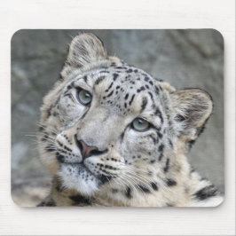 Sneeuw Leopard Closeup Face Muismat