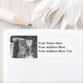 Sneeuw Leopard Cub peering uit van een besneeuwde Etiket (Insitu)