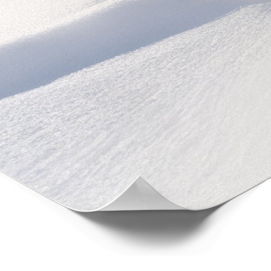 Sneeuw Leopard Dier Natuur Majestic Wild Poster (Hoek)