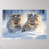 Sneeuw Leopard Dier Natuur Majestic Wild Poster (Voorkant)