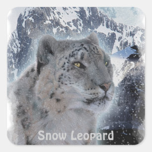 SNEEUW LEOPARD Endangered Species of Big Cat Vierkante Sticker