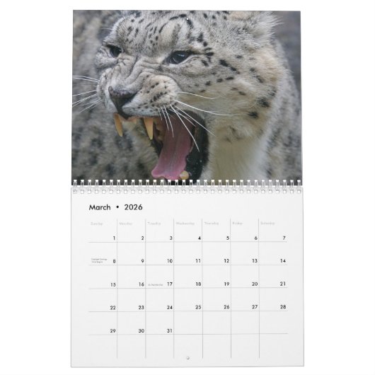 Sneeuw Leopard Kalender (Mar 2026)