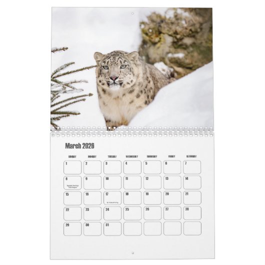 Sneeuw Leopard Kalender (Mar 2026)
