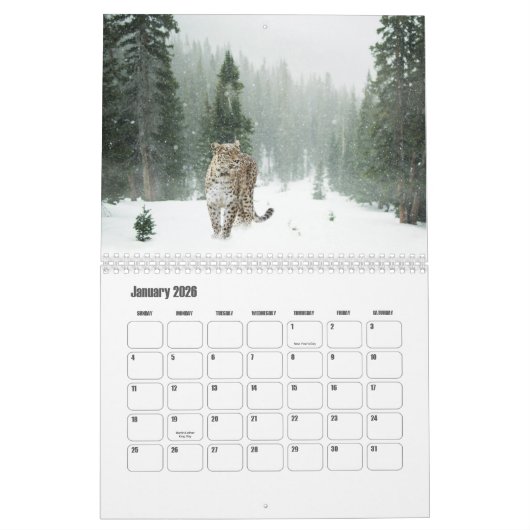 Sneeuw Leopard Kalender (Jan 2026)