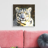 Sneeuw Leopard Verpakt Canvas (Insitu (Woonkamer))