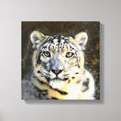 Sneeuw Leopard Verpakt Canvas (Voorkant)