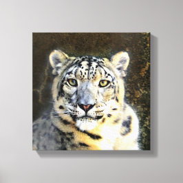 Sneeuw Leopard Verpakt Canvas Afdruk