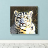 Sneeuw Leopard Verpakt Canvas Afdruk (Insitu (Houten vloer))