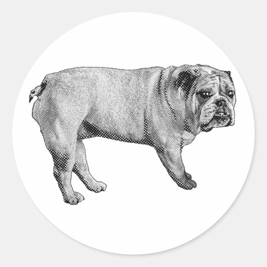Sneeuw-lichte Bulldog Sticker (Voorkant)