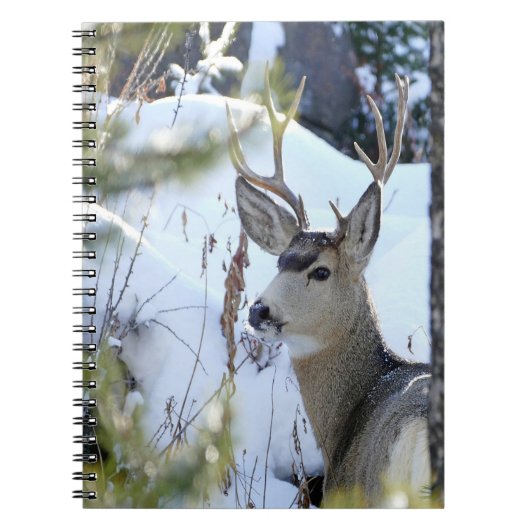 Sneeuw Notitieboek (Voorkant)