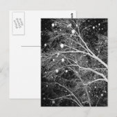 Sneeuw onder takken briefkaart (Voorkant / Achterkant)