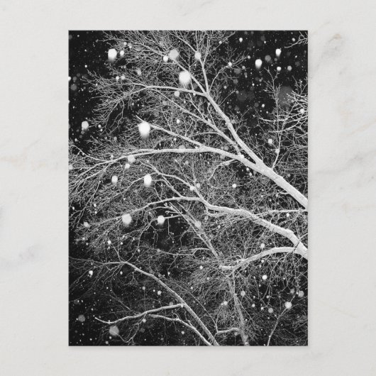 Sneeuw onder takken briefkaart (Voorkant)
