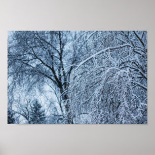 Sneeuw op bomen, Ohio Poster