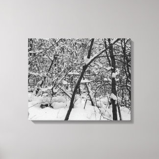 Sneeuw op bomen zwart-wit foto op doek canvas afdruk