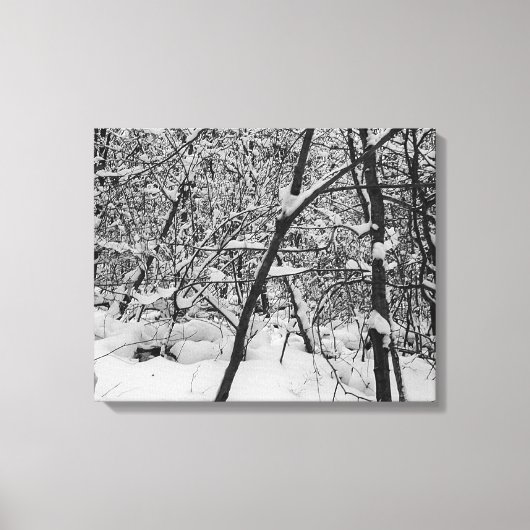 Sneeuw op bomen zwart-wit foto op doek canvas afdruk (Voorkant)