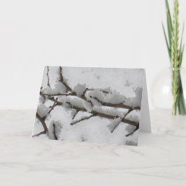 Sneeuw op Boomtak Feestdagen Kaart
