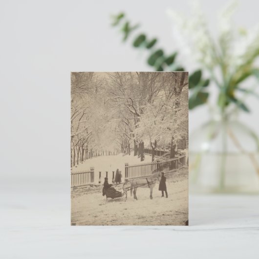Sneeuw op Boston Common Briefkaart (Staand voorkant)