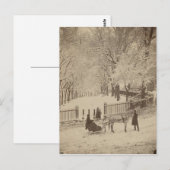 Sneeuw op Boston Common Briefkaart (Voorkant / Achterkant)