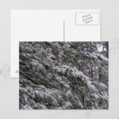Sneeuw op Briefkaart van boomtakken - voeg uw eige (Voorkant / Achterkant)