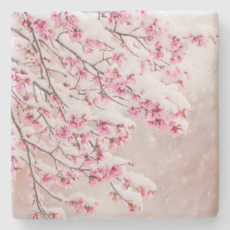 Sneeuw op Cherry Blossom 4 x 4 inch Onderzetter ka