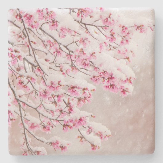 Sneeuw op Cherry Blossom 4 x 4 inch Onderzetter ka (Voorkant)