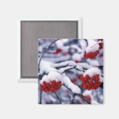 Sneeuw op de Europese Bergen Ash Berries, Utah. Magneet (Voorkant / Achterkant)