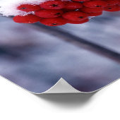 Sneeuw op de Europese Bergen Ash Berries, Utah. Poster (Hoek)