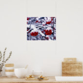 Sneeuw op de Europese Bergen Ash Berries, Utah. Poster (Keuken)