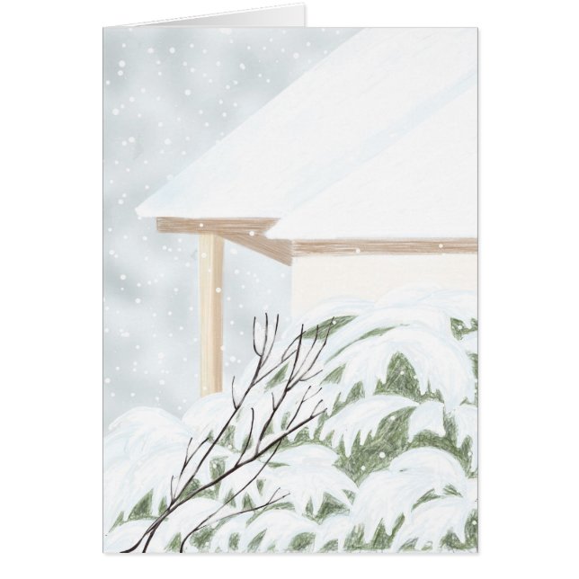 sneeuw op de jeneverbes Struik (Voorkant)