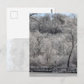 Sneeuw op de Pond Briefkaart (Voorkant / Achterkant)