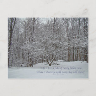Sneeuw op Dogwood Tree Quote Denis Waitley Briefkaart