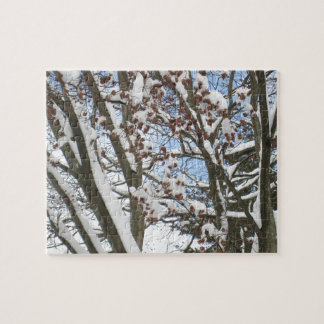 Sneeuw op een Japanse Maple — Legpuzzel