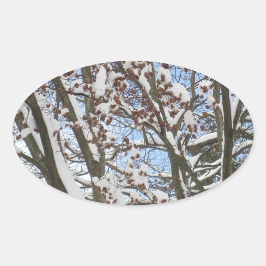 Sneeuw op een Japanse Maple — Ovale Sticker (Voorkant)