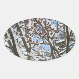Sneeuw op een Japanse Maple — Ovale Sticker