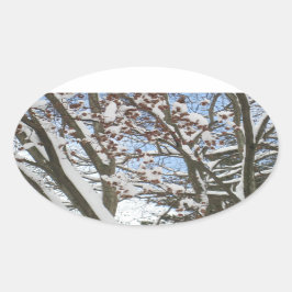Sneeuw op een Japanse Maple — Ovale Sticker