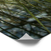 Sneeuw op een Pine Tree Branch Poster (Hoek)